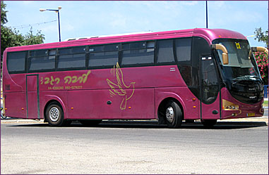אוטובוסים מפוארים